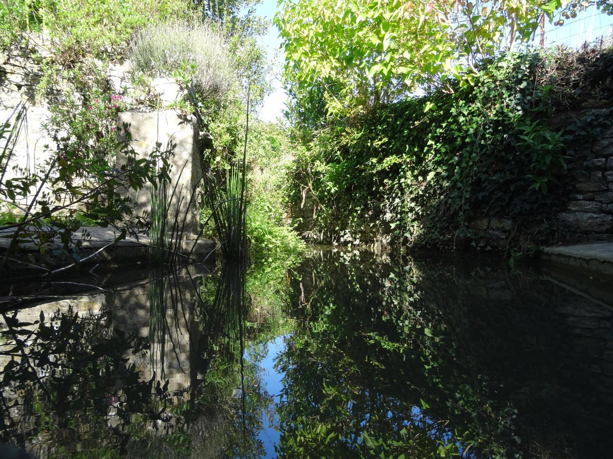Gite "Rose Des Sables" - 800M De La Plage De Surtainville, Proche Commerces - Piscine En Juillet Et Aout Esterno foto